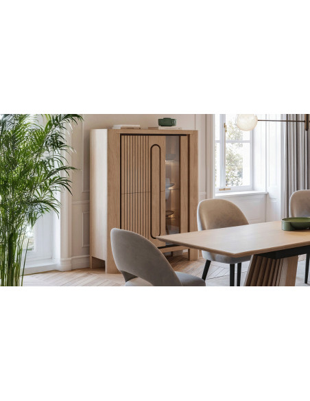 CAP - Vitrine 2 portes pleine 1 porte vitre  