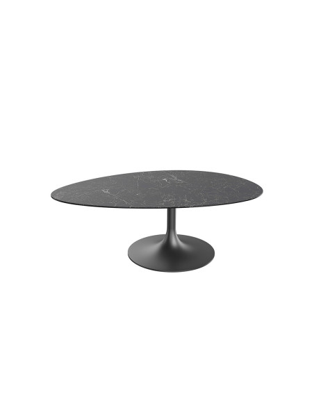 ALISSE  - Table basse waterglass forme irrégulière 