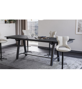 Mara - Table de séjour haute  2