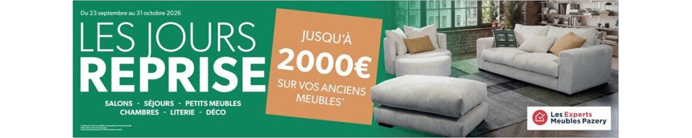 Chaises avec accoudoirs